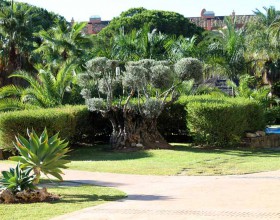 C.P. MIMOSAS GARDEN BEACH, NUEVA ANDALUCIA.