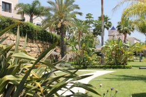 Mantenimiento de piscinas y jardines a Comunidad de Popietarios de Paraiso Hills
