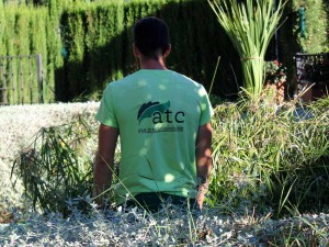 Atc servicios de mantenimiento comunidades jardines piscinas