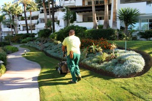mantenimentos Jardines y comunidades