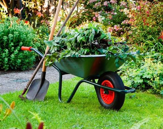 ¿ Cometemos errores al pensar en jardineria ?